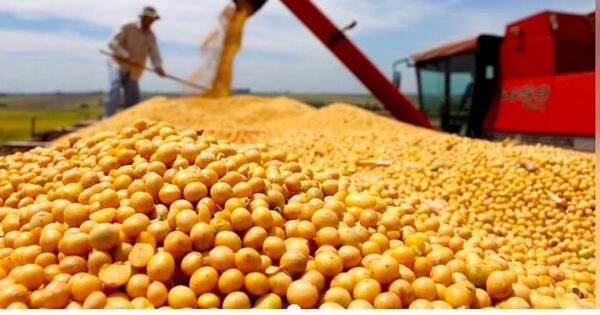 La Nación / MEF: expansión económica sostenida del Paraguay data desde el año 2023