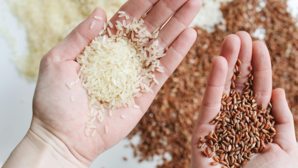 Exportaciones de arroz superan el millón de toneladas, pero el sector enfrenta una baja de precios mundial