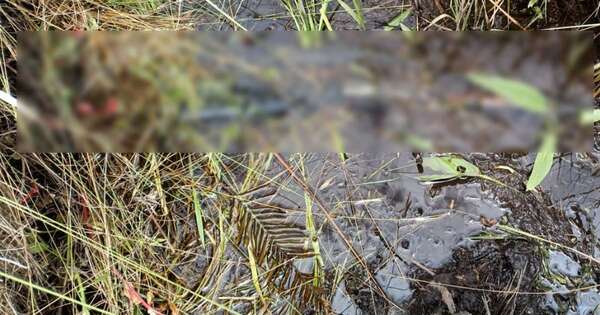 Diario HOY | Mataron a un pescador e hirieron a su hermano: tres detenidos por el caso