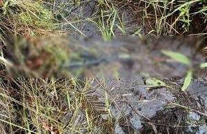 Mataron a un pescador e hirieron a su hermano: tres detenidos por el caso