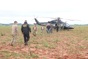 Operación binacional “Nueva Alianza 53” dejó fuera de circulación casi 1.000 toneladas de marihuana en diez días