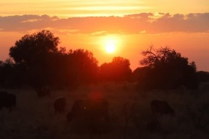 Octubre termina con un verano anticipado