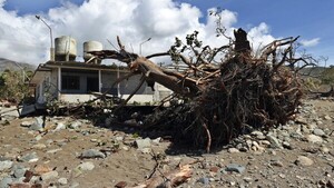 Subir al monte o esconderse en una cueva: Sobrevivir a Melissa en la "zona cero" de Cuba