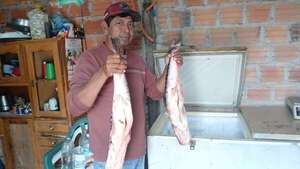 A G. 30.000 el kilo venden surubí ante abundancia de pescado en zona del Pantanal - Noticias del Chaco - ABC Color