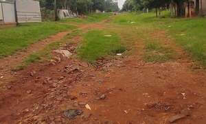 Denuncian obras fantasmas e inacción fiscal en J. Augusto Saldívar - Nacionales - ABC Color