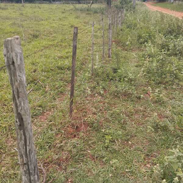 Abigeato en establecimiento ganadero de zona rural de Paso Horqueta - Concepción al Día
