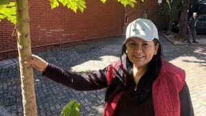 Exdiputada colo'o se plagueó porque llevaron tres frutas del mamón que plantó