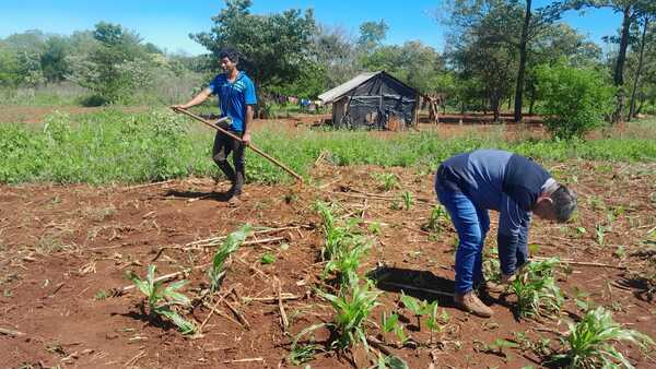 Gobernación de Itapúa supervisa parcelas de producción en comunidades indígenas