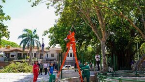 Asuncenos pagaron G. 859.000 millones en tributos y la Comuna destinó solo el 4% a obras