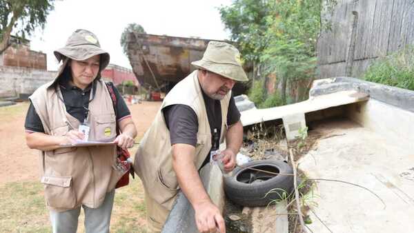 Dengue: 367 reportes de casos sospechosos en una semana