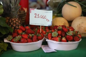 Iniciaran capacitaciones sobre formalización productiva de la Agricultura Familiar en todo el país - ADN Digital