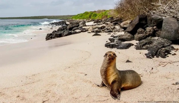 Ecuador y EE.UU. descartan base militar en islas Galápagos - ADN Digital