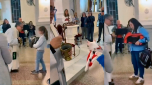 Parroquia realiza una peculiar bendición de gatitos en Argentina
