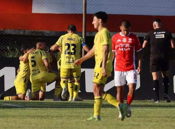 Del árbol caído Recoleta hace leña - La Tribuna