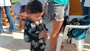 Gran campaña gratuita de vacunación antirrábica en barrios San Francisco y Primavera - Concepción al Día