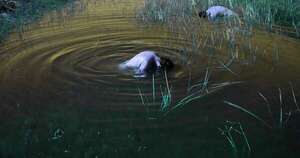 La Nación / Festival EOS llega con intensa agenda la próxima semana