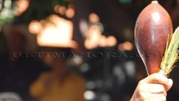 El exterminio de los pueblos indígenas