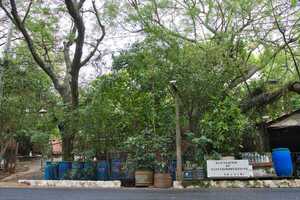 MADES sigue sin reglamentar la Ley N.º 5.882 de Pilas