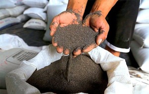 Exportaciones de alimentos superan los USD 350 millones hasta septiembre, según REDIEX