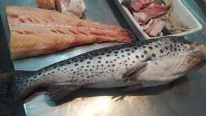 Veda pesquera arranca mañana: ¿a cuánto están rematando los últimos pescados? - Nacionales - ABC Color