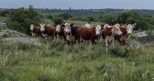 La Nación / Mujeres en agronegocios: experta insta a romper barreras con “coherencia e identidad”