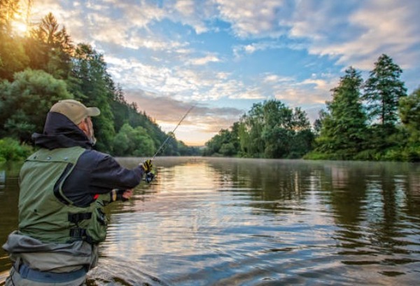 Veda Pesquera 2025-2026: Prohibida la pesca comercial y deportiva desde este 2 de noviembre