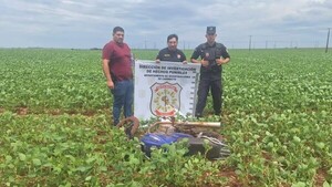 Hallan en un sojal moto que habría sido utilizada en robo de película en banco de Katueté