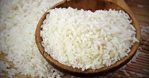 La Nación / Día mundial del arroz: producción paraguaya ya llega a más de 30 mercados y apunta a su expansión