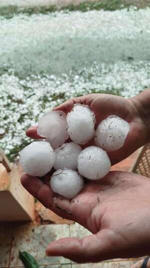 Temporal azota con fuerza la zona sur de San Pedro - Nacionales - ABC Color