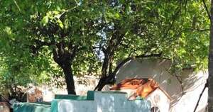 La Nación / ¡Insólito! En cementerio recuperan feto luego de 19 años