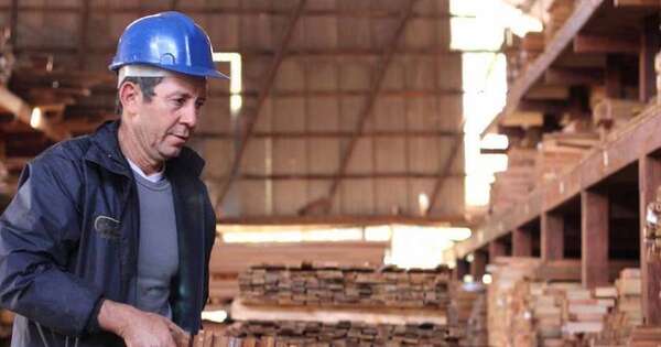 La Nación / Fortalecer la producción primaria es clave para el futuro industrial