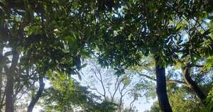 La Nación / La ineludible proximidad