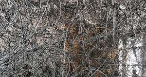 La Nación / Oxígeno para Alejandra Mastro