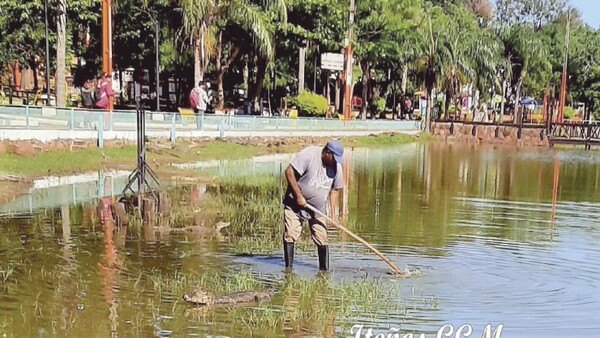 El encantador de yacarés: “Ya me conocen y hasta les toco la cola”