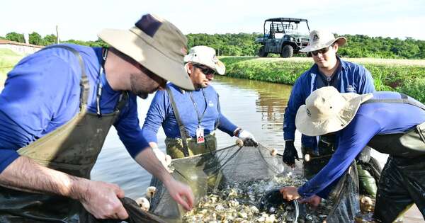 Diario HOY | Instan a respetar la veda pesquera y proteger la diversidad en los ríos