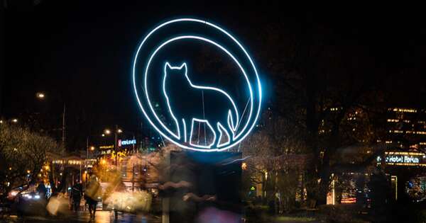 La Nación / Tallin anuncia cine audaz y estrenos mundiales en su 29.º Festival Black Nights