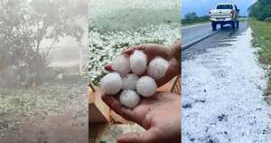 Diario HOY | Cultivos perdidos, animales muertos y destrozos: fuerte granizada en San Pedro