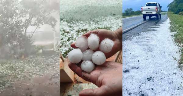 Diario HOY | Cultivos perdidos, animales muertos y destrozos: fuerte granizada en San Pedro