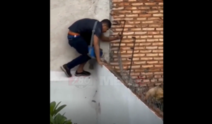 Capturan a presunto ladrón en el barrio Mbachió de Lambaré