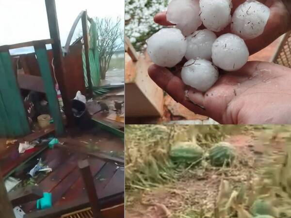 Temporal dejó un tendal de destrucción y animales muertos a su paso