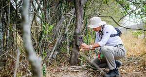 La Nación / Paraguay se consolida como hub regional en mercados de carbono