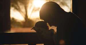 La Nación / Proyecto busca ampliar hasta 30 días los permisos por paternidad