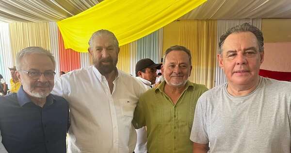 La Nación / Richer lamenta que la unidad en la oposición se reduzca a estadísticas y números