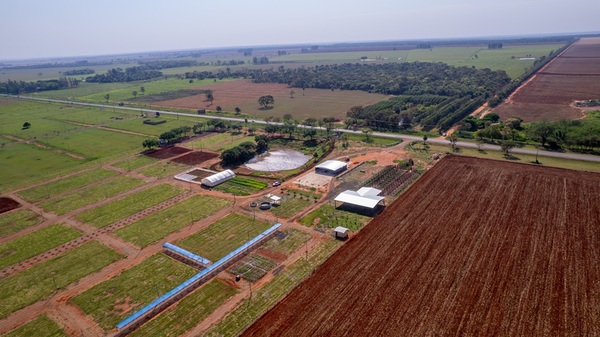 Nueva experiencia en FASP: salida de campo virtual y juzgamiento didáctico para impulsar la producción lechera