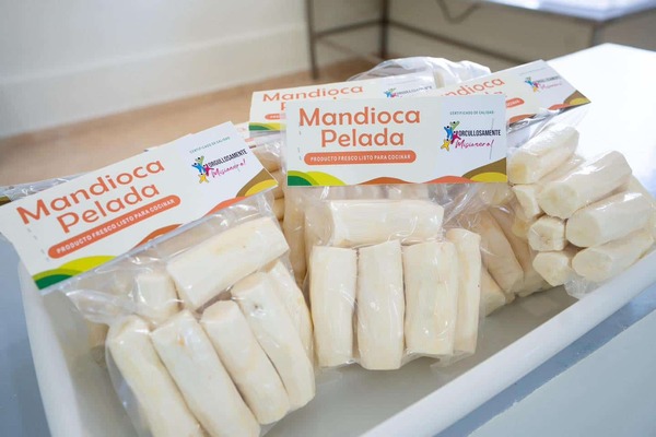 Misiones industrializa la mandioca: empleo local y valor agregado