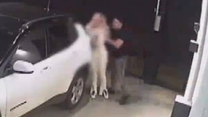 Investigan denuncia por violencia familiar contra el empresario Cristian Vera