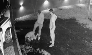 El supuesto torturador de mujeres se salva de la cárcel por G. 200 millones - Noticiero Paraguay