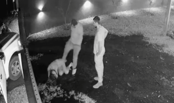 El supuesto torturador de mujeres se salva de la cárcel por G. 200 millones - Noticiero Paraguay