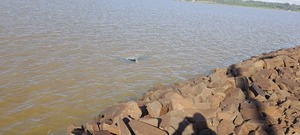 Vehículo cae al subembalse del arroyo Quiteria en Encarnación