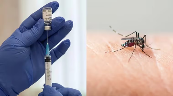 “Estamos a tiempo de evitar una gran epidemia de dengue”, advierten